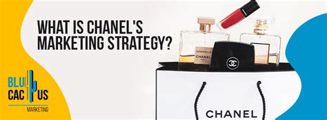 buisness plan chanel|Chanel no 5 marketing strategy.